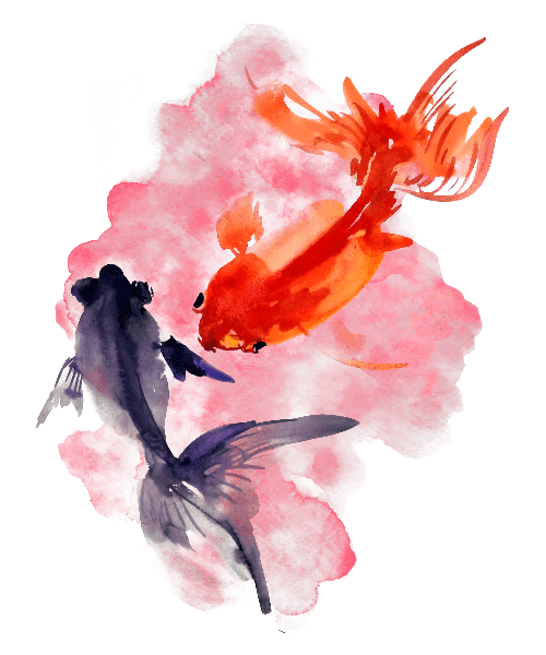 Sakura: Goldfish - Hoodie
